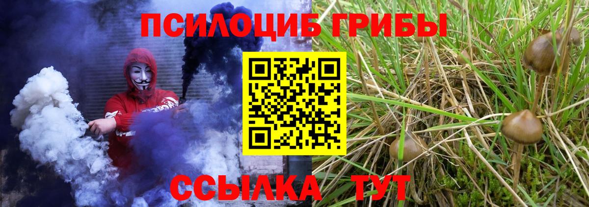 Псилоцибиновые грибы MAGIC MUSHROOMS Большой Камень