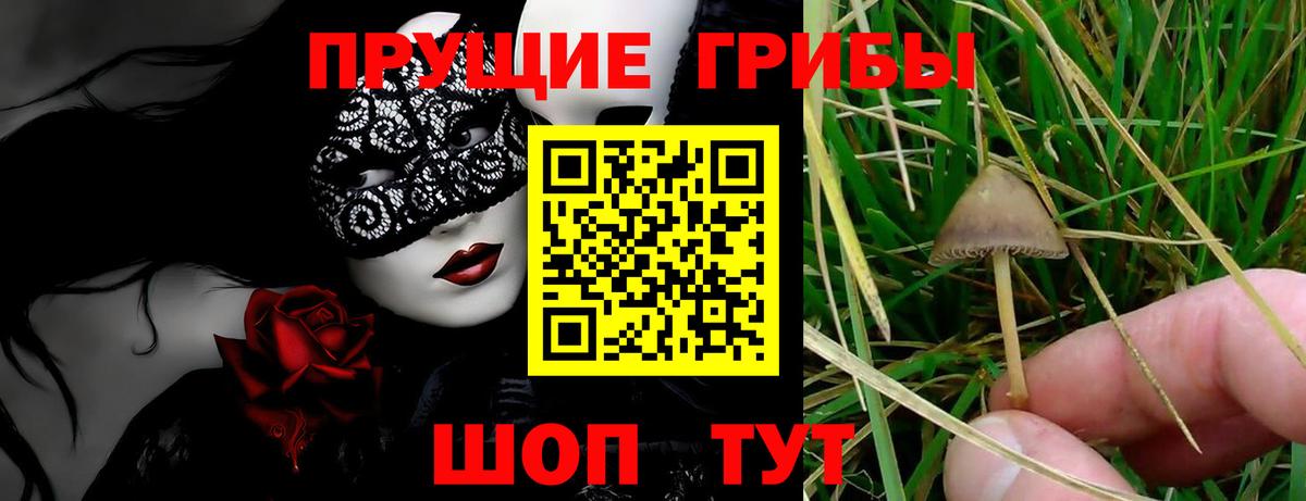 Галлюциногенные грибы прущие грибы  Вход с VPN  купить  цена  Большой Камень 
